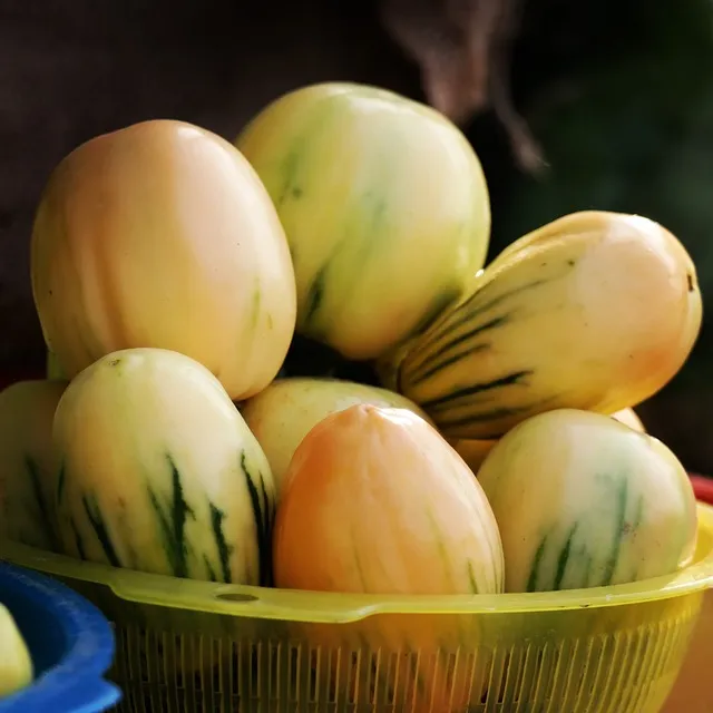 Garden Eggs (x5)